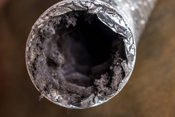 Best Affordable Duct Cleaning Services  in Stuart, VA