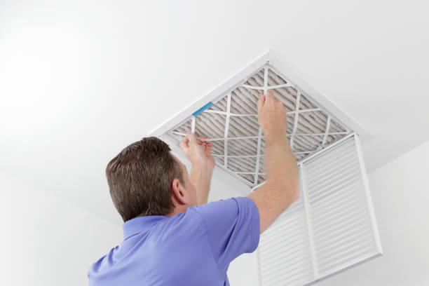 Best Air Duct Mold Removal  in Stuart, VA